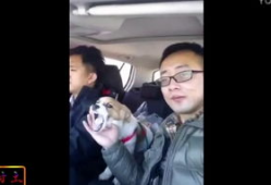 恶心视频,一场视觉与心理的双重挑战